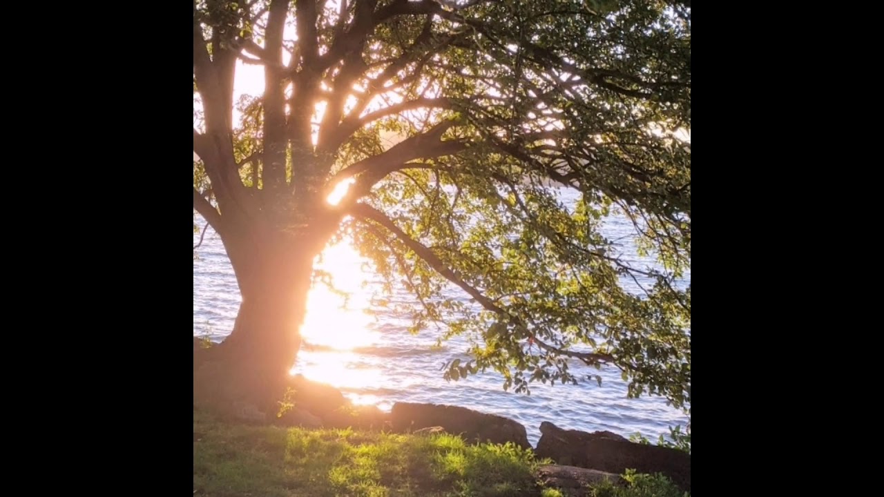 [free] glaive + aldn type beat (prod. fears)