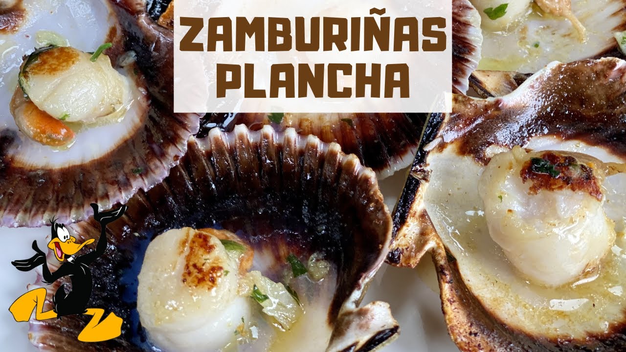Zamburiñas a la Plancha 🤤 ¡VIEIRAS O VOLANDEIRAS!