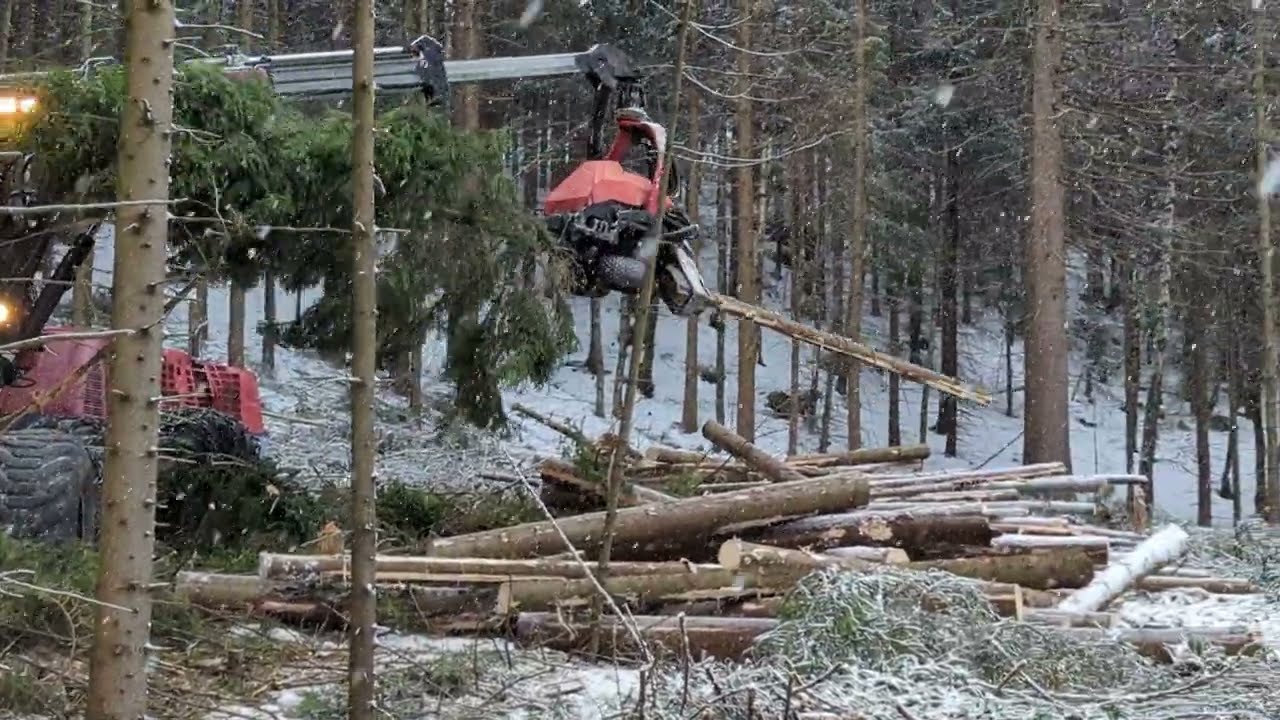 Edward Scissorhand 2 (Valmet 921) at work