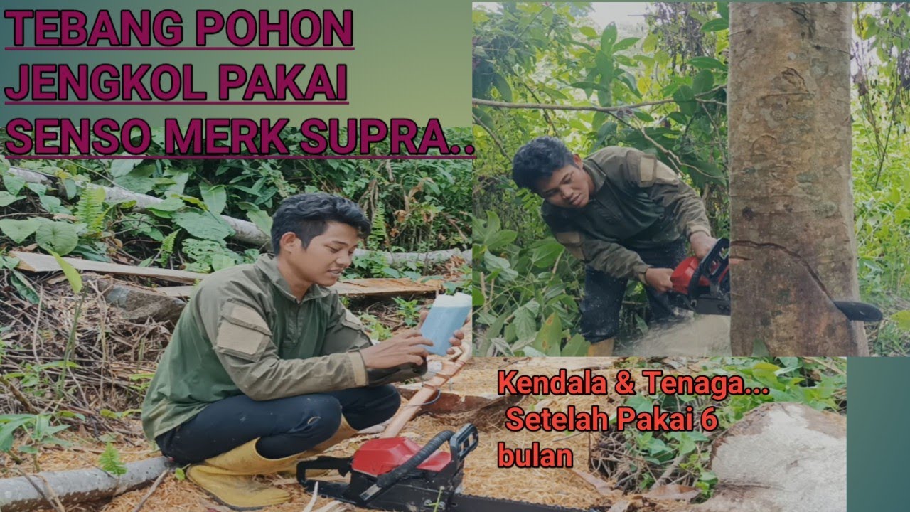 KENDALA/KERUSAKAN !!! pakai Senso Mini  Supra.Setelah 6 bulan Di pakai.Murah Tapi Tidak murahan 💪😁