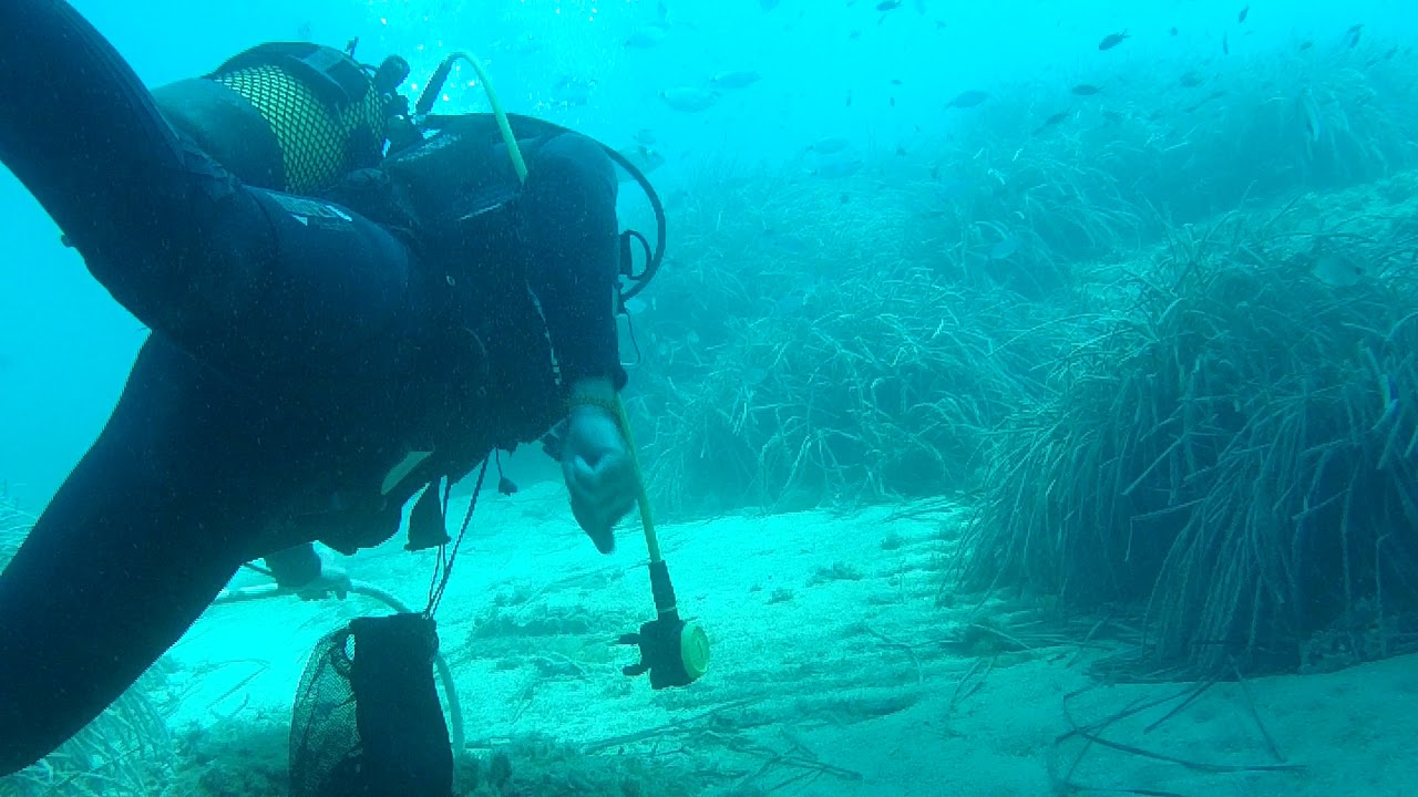 Dive Ibiza
