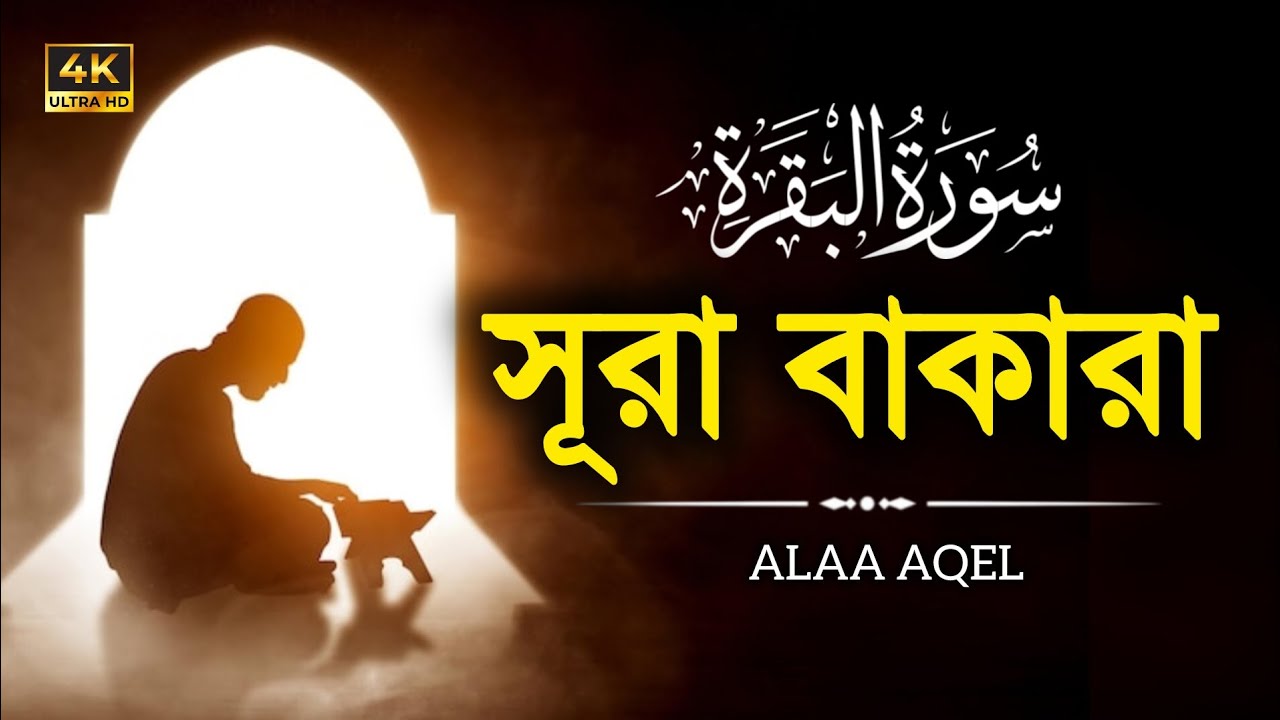 সূরা বাকারা ┇ Surah Baqarah ┇ Recited by: Alaa aqel ┇ (سورة البقرة)