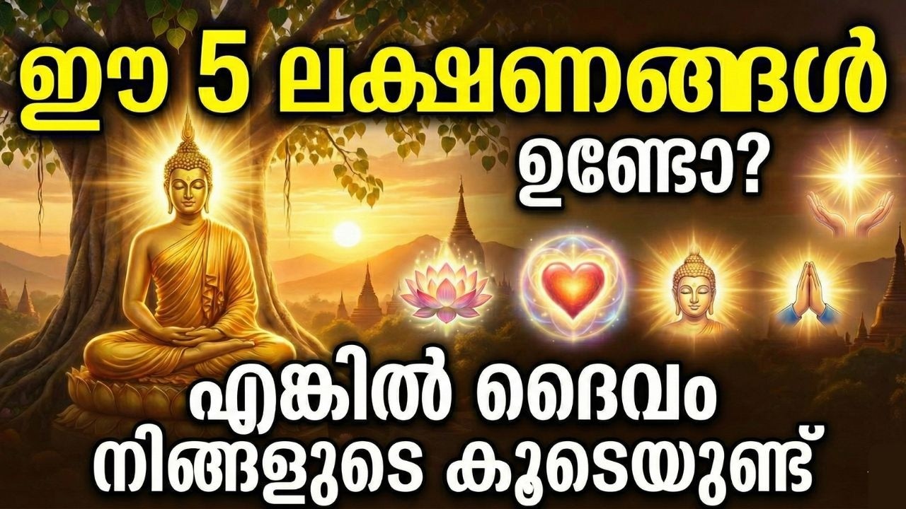 ഈ 5 ലക്ഷണങ്ങൾ ഉണ്ടോ? എങ്കിൽ ദൈവം നിങ്ങളുടെ കൂടെയുണ്ട്! | Buddha Malayalam | Malayalam Spiritual