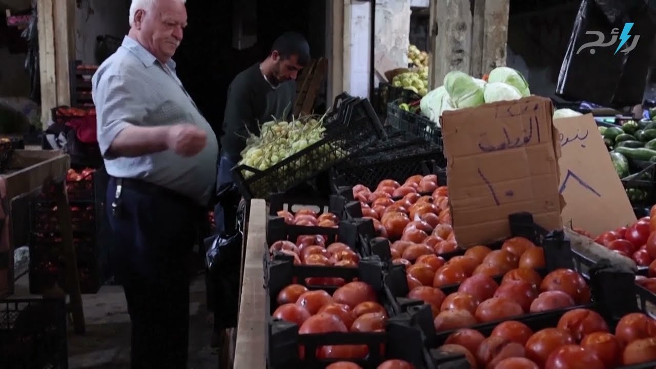 حصاد فاكهة الكاكي في محافظة إدلب السورية