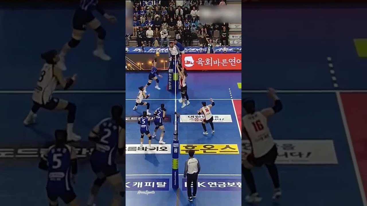 Ai Peppers kalah 1-3 dari IBK Altos #volleyball #koreavoleyball