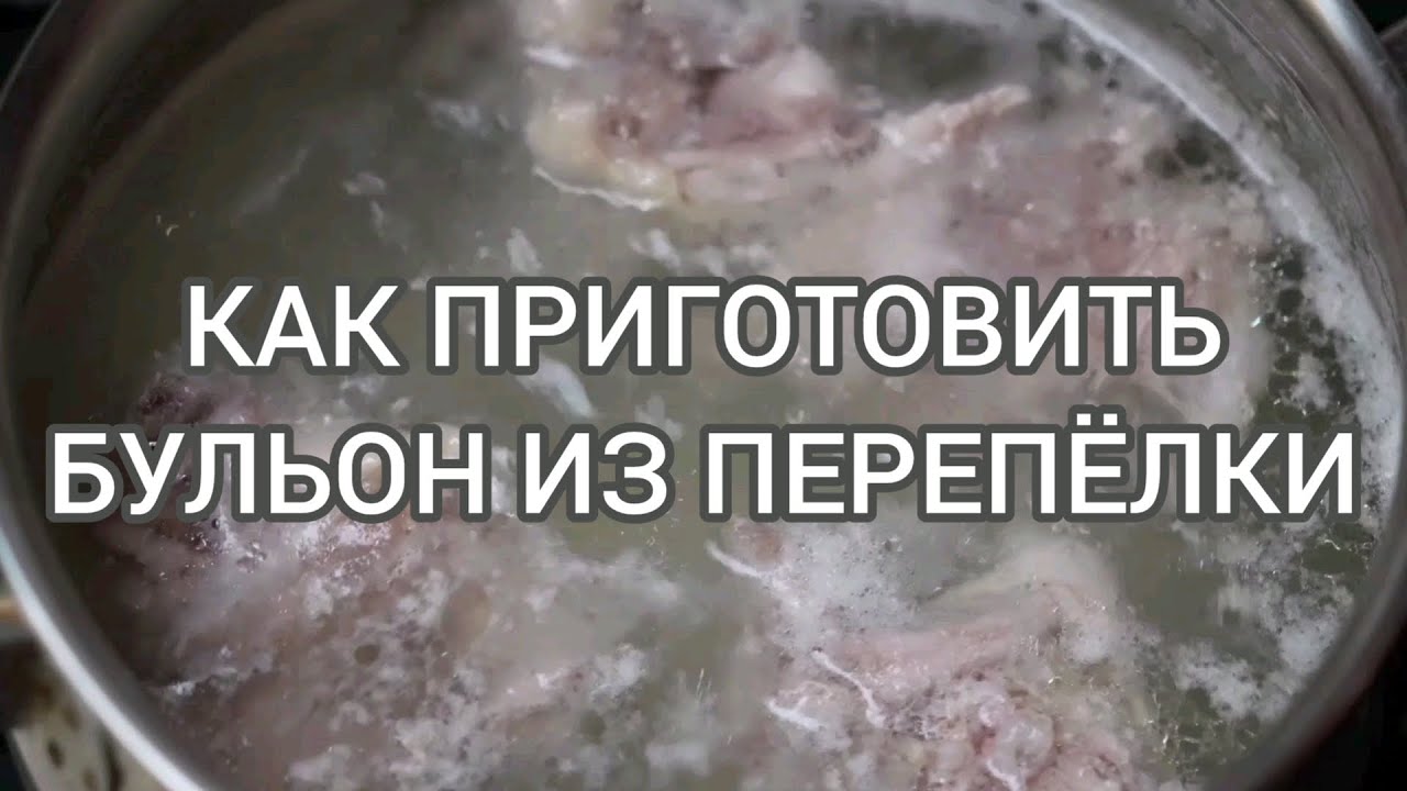 Бульон из перепёлки. Как правильно приготовить бульон из перепёлки