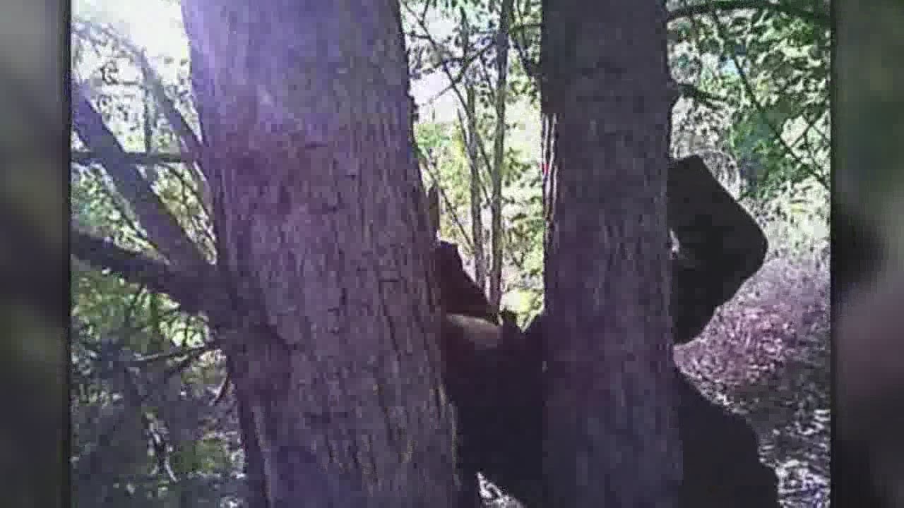 Video: Police rescue man found with hands nailed to tree