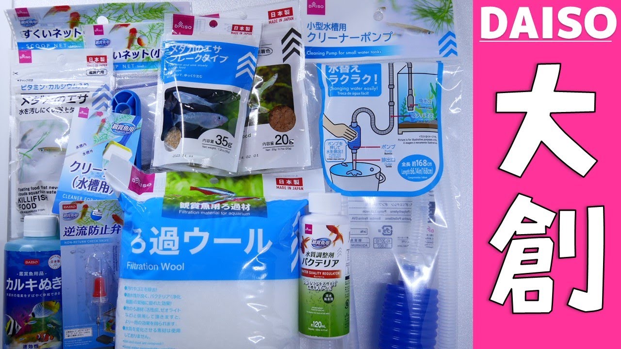 ダイソーのアクアリウム用品を初心者目線で詳しく検証してみた。全て100円なのに、完成度が高くて驚きました【ふぶきテトラ】
