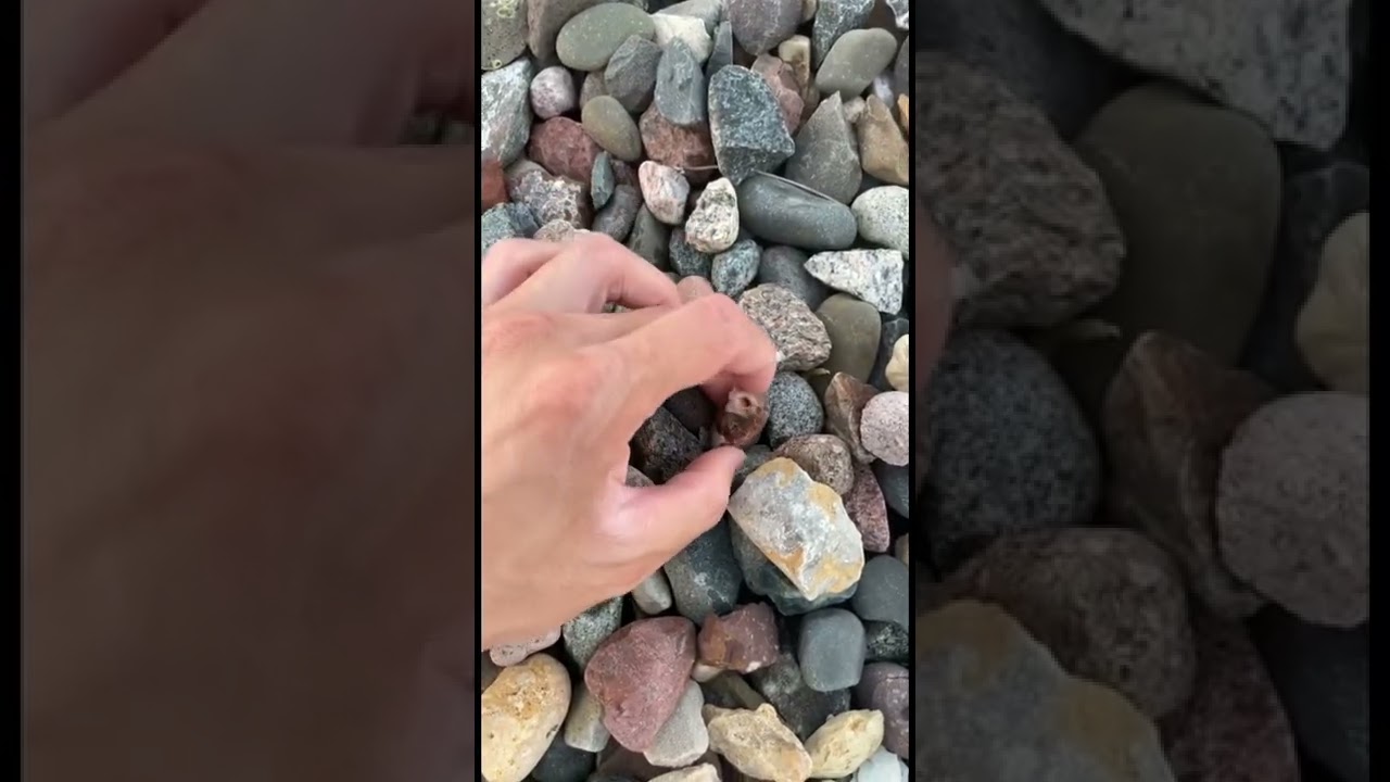 Finding an amazing Lake Superior agate!!! #agate #stone #gems #rockhounding