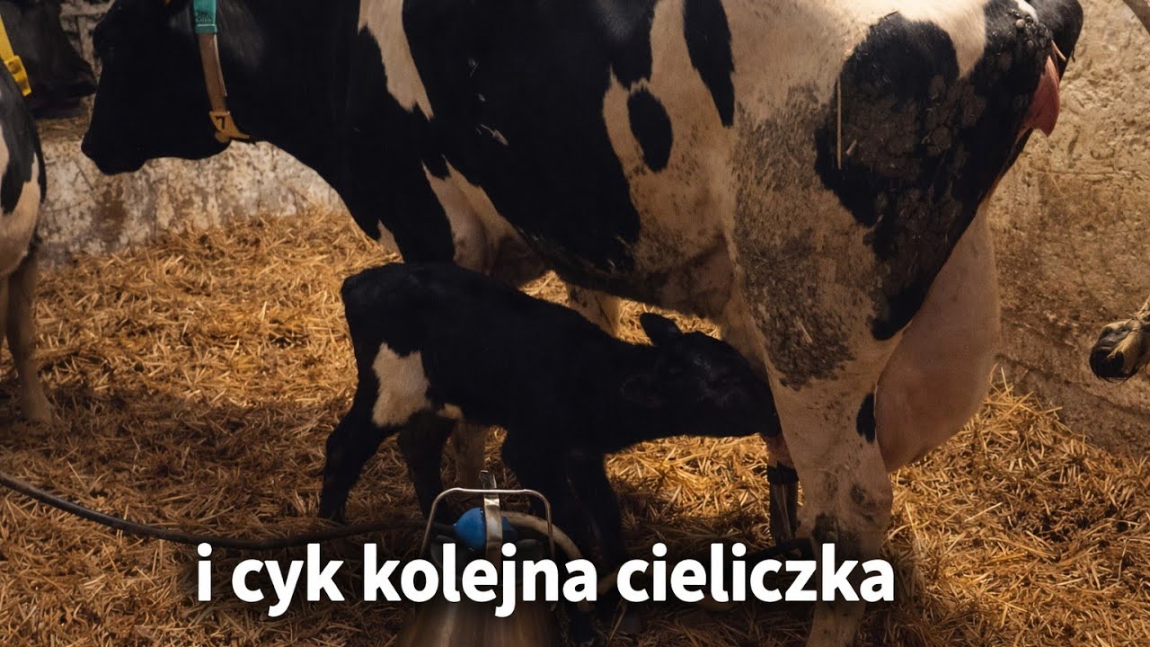 Szykuje się nam ciekawa wiosna....