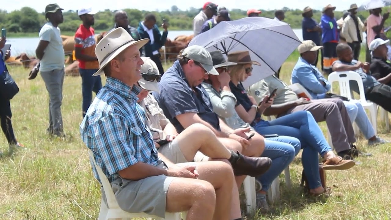 BEEF PRODUCERS FIELD DAY IN ZIMBABWE