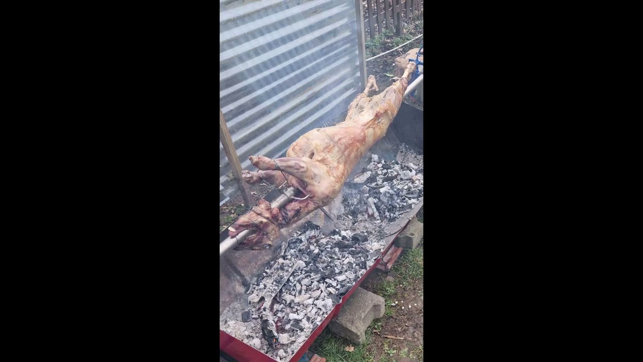 Peceno janje na raznju u kratkim crtama 