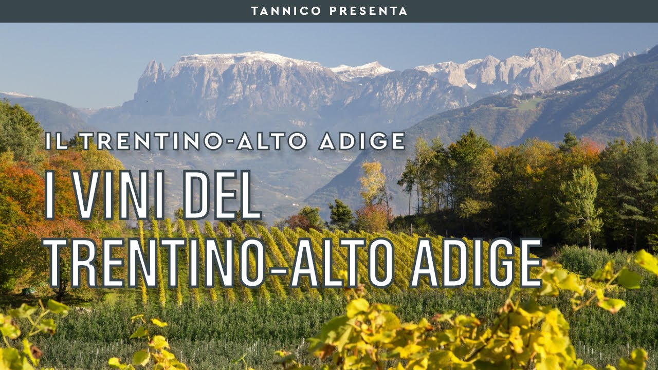 I vini del Trentino-Alto Adige | Tannico Flying School