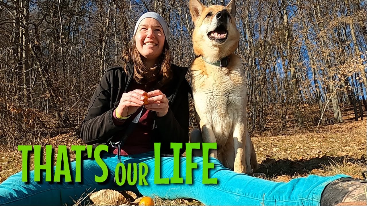 SOLO LIFE of Mine on Countryside of Middle Europe