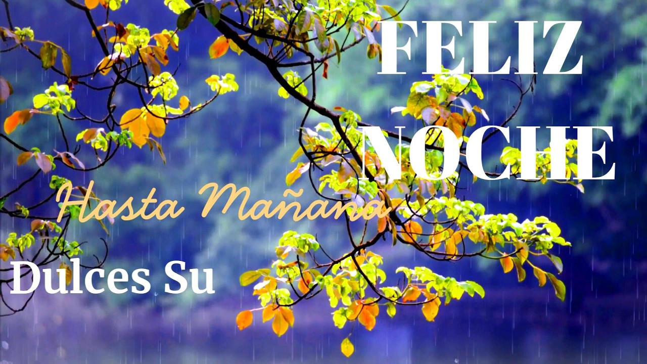 FELIZ NOCHE PARA TI Un bonito mensaje antes de dormir BUENAS NOCHES PARA TI