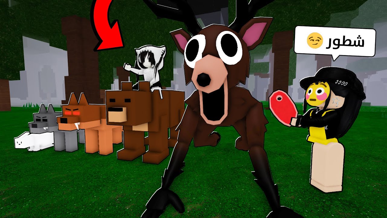 روضت حيوانات الغابة مع اختي الصغيرة 🐻🌳! ( ضحكك 😂)