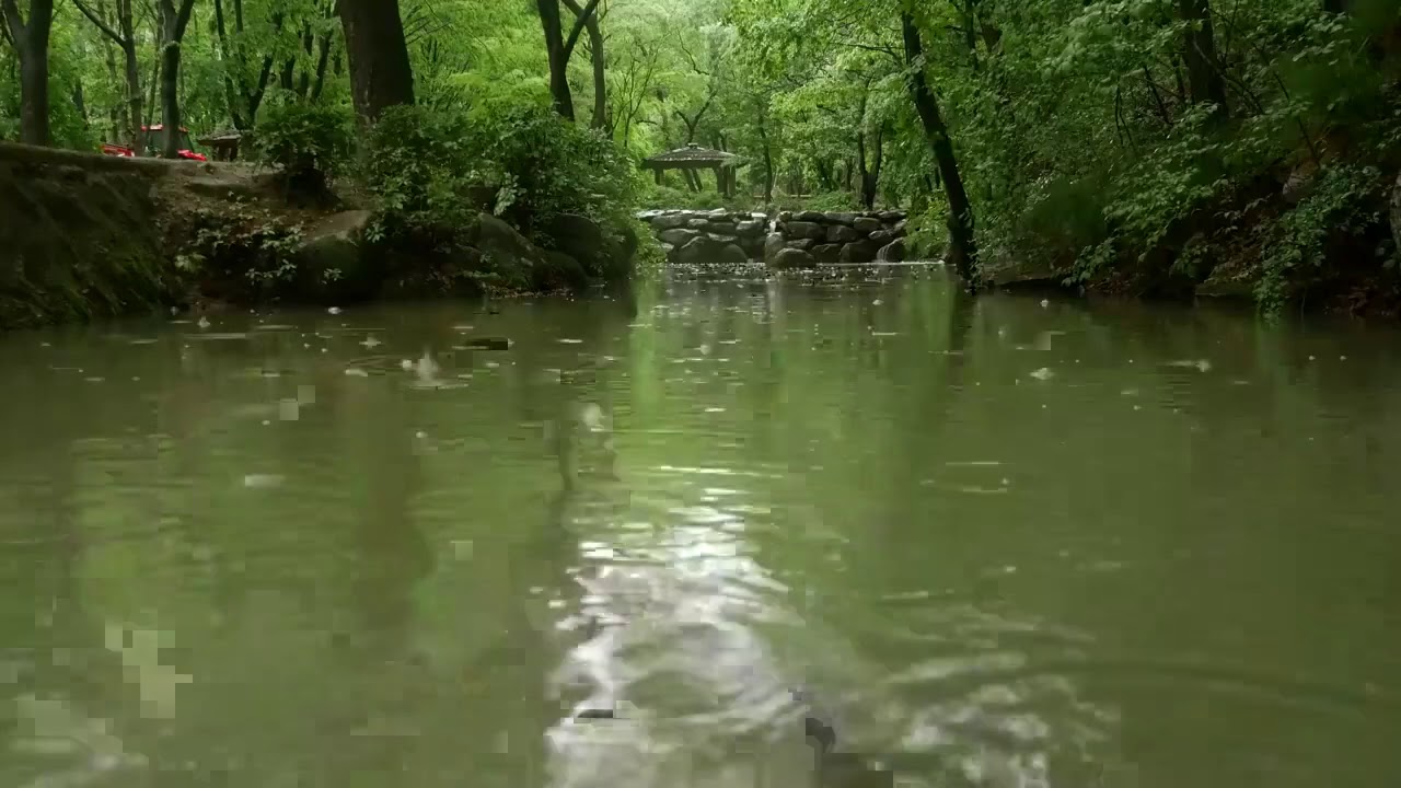 Estanque sonido relajante de lluvia suave