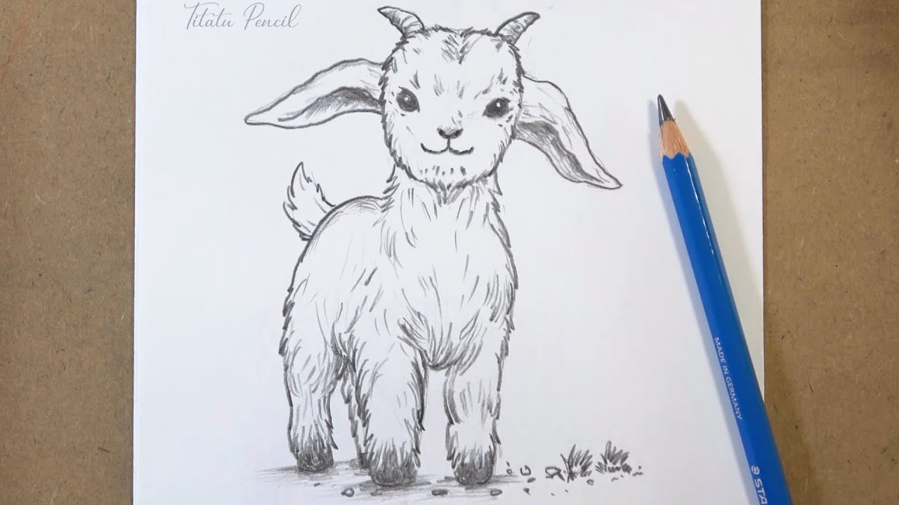 How to Draw a Goat Step by Step | Pencil Drawing