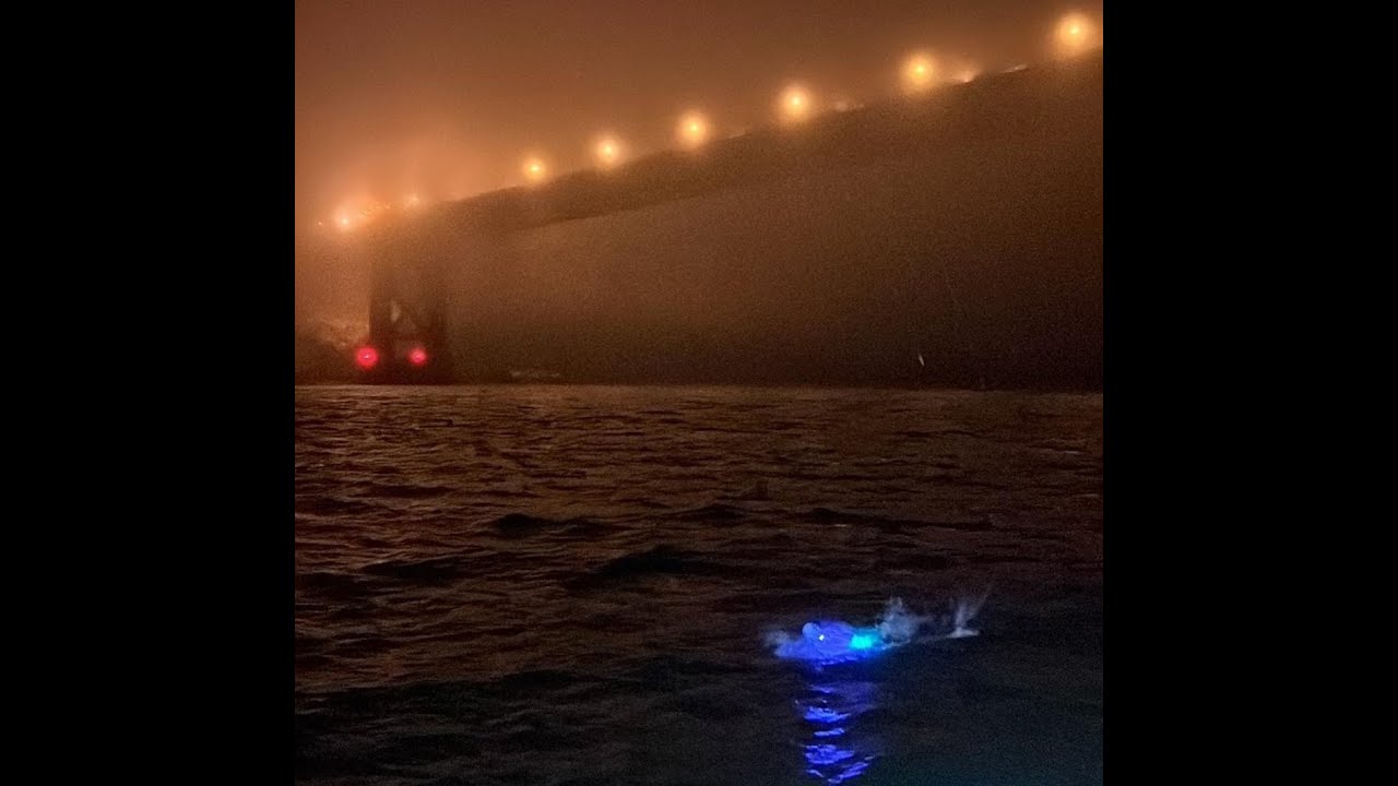 Amy Appelhans Gubser - Golden Gate Bridge to Farallon Islands swim