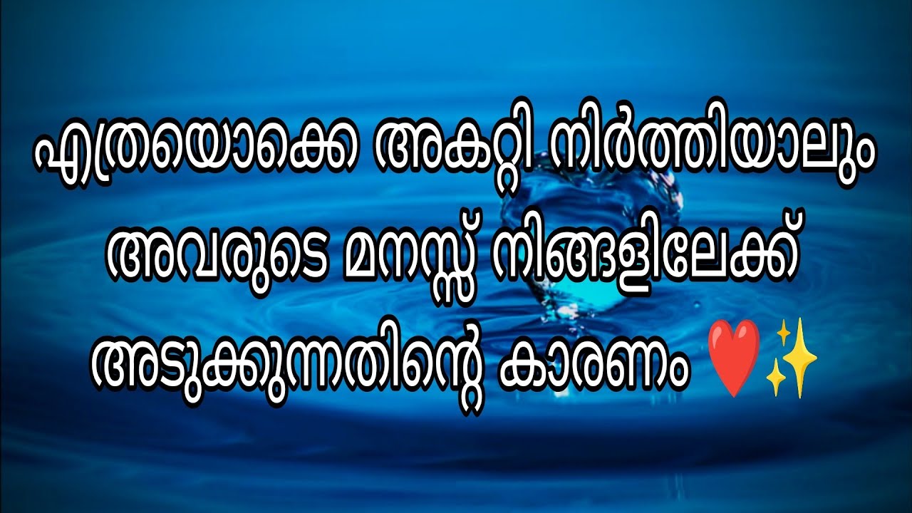 എത്രയൊക്കെ അകറ്റി നിർത്തിയാലും അവരുടെ മനസ്സ് നിങ്ങളിലേക്ക് അടുക്കുന്നതിന്റെ കാരണം ❤️✨