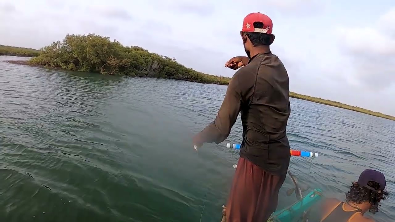 Mangroves Fishing Pittiani Side | Bottom Fishing 2022 | Part 3