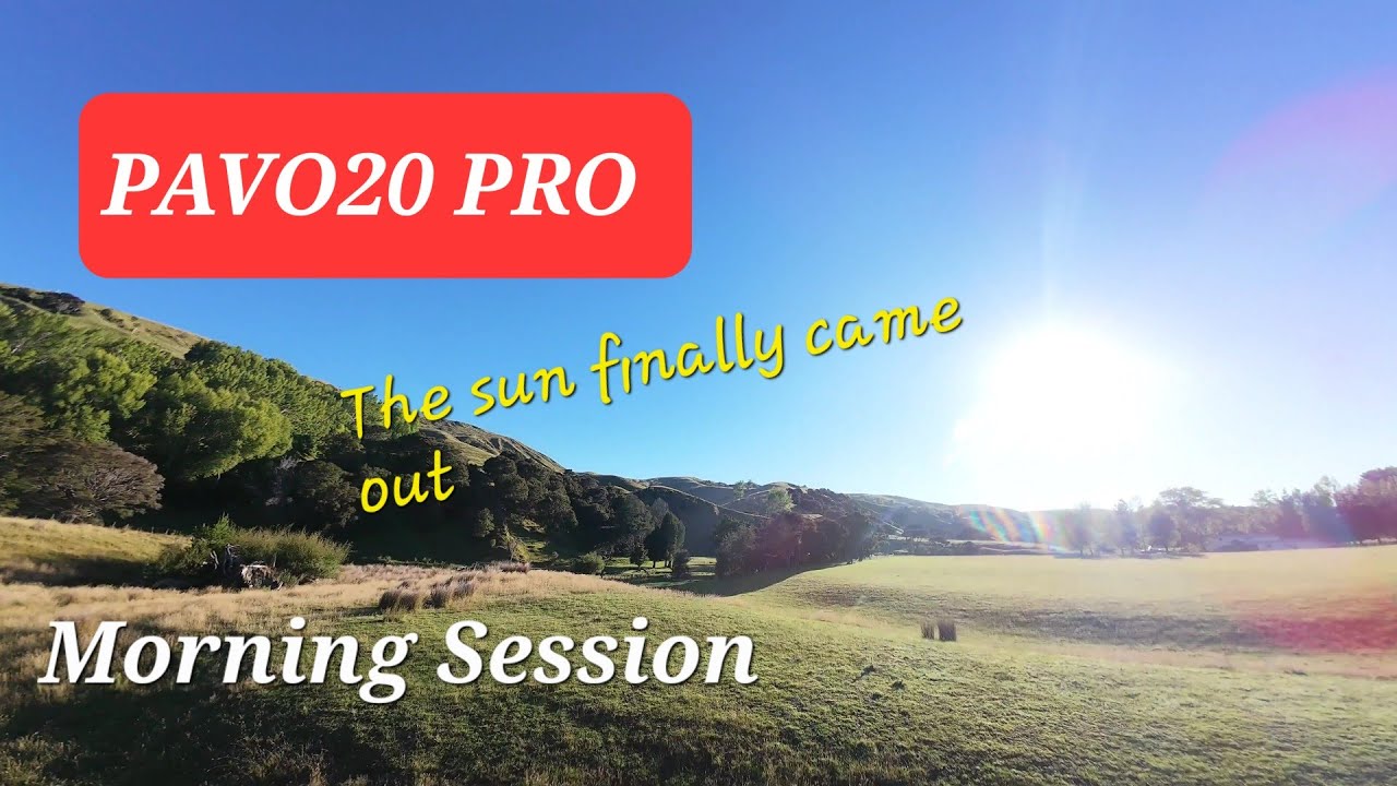 PAVO20 PRO - Summer returns
