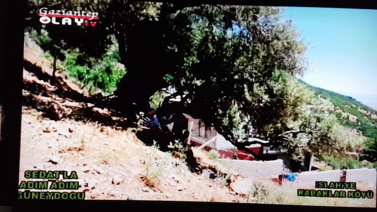 KABAKLAR KÖY'ü  (Gaziantep Olay TV)