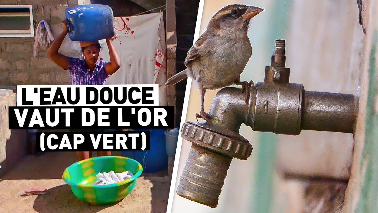 L'EAU DOUCE VAUT DE L'OR (CAP VERT)