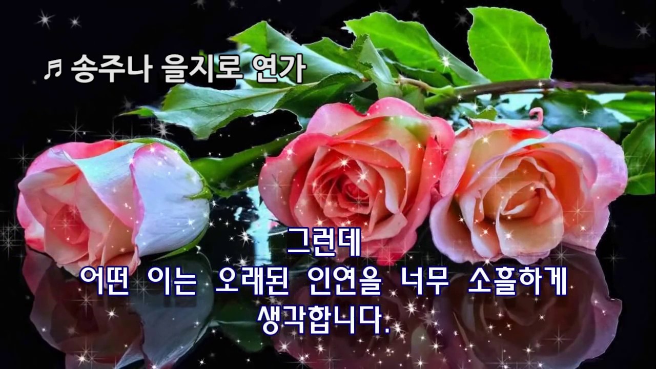 차 한잔의 여유