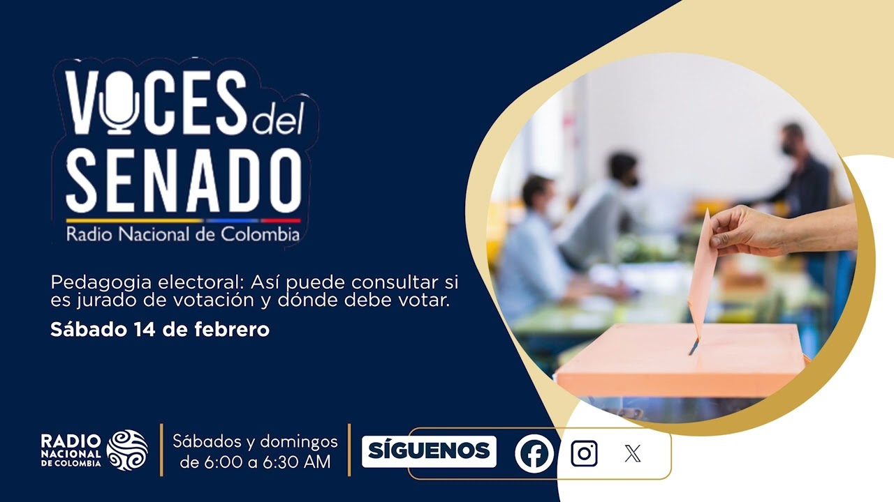 Voces Del Senado I Tenga en cuenta estos datos de cara a las votaciones del 8 de marzo