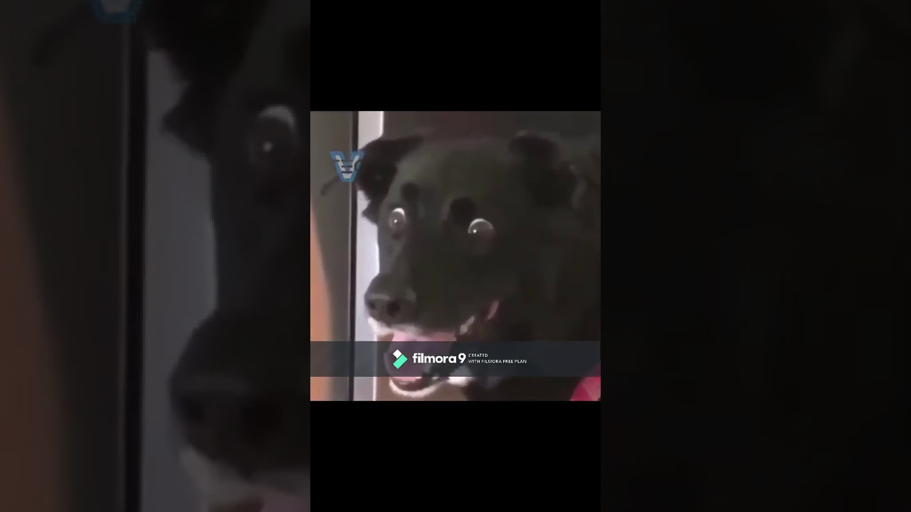 el rapto😂😂😂🤣🤣👍