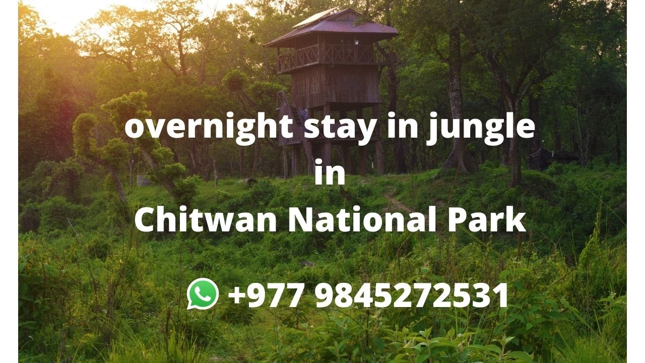 Tower night in Chitwan National park(night stay in jungle)