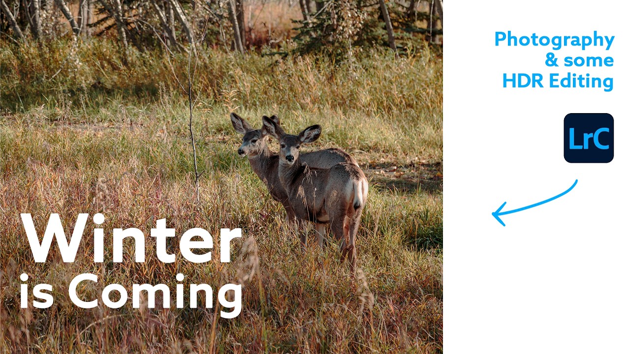 Winter is Coming — Last of the Autumn Photography and Editing