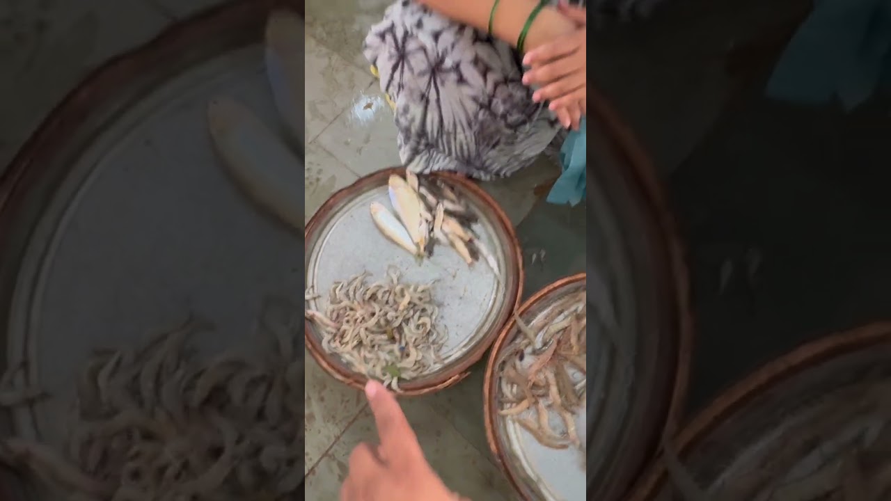 Belapur Fish Market | Fish Market | Navi Mumbai Fish Market