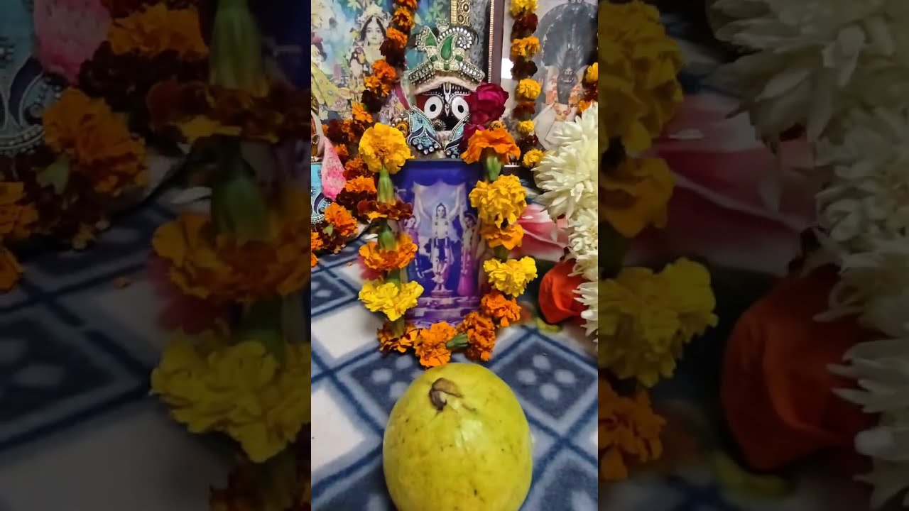 🔥Sacred Yajña at AIIMS — Led by HG Rishi Kumara Prabhuji 🙏✨