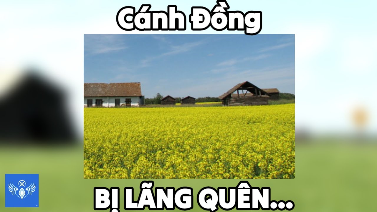 Level 184:Cánh Đồng Cải Dầu Bị Lãng Quên.... | Ankatt Backrooms 