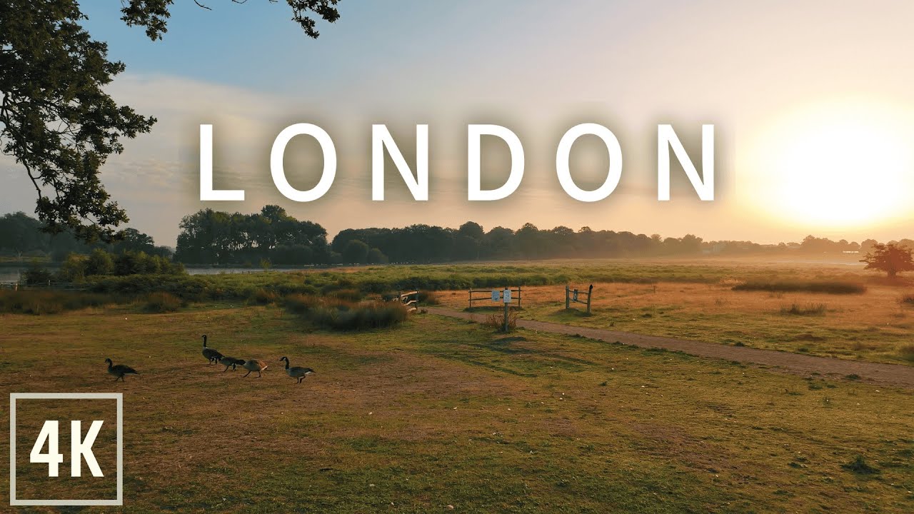 London Morning Walk in Richmond Park 4K