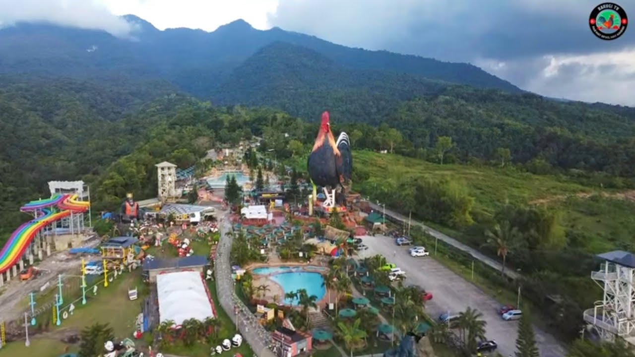 EP559:  Campuestohan Resort/Uwian na