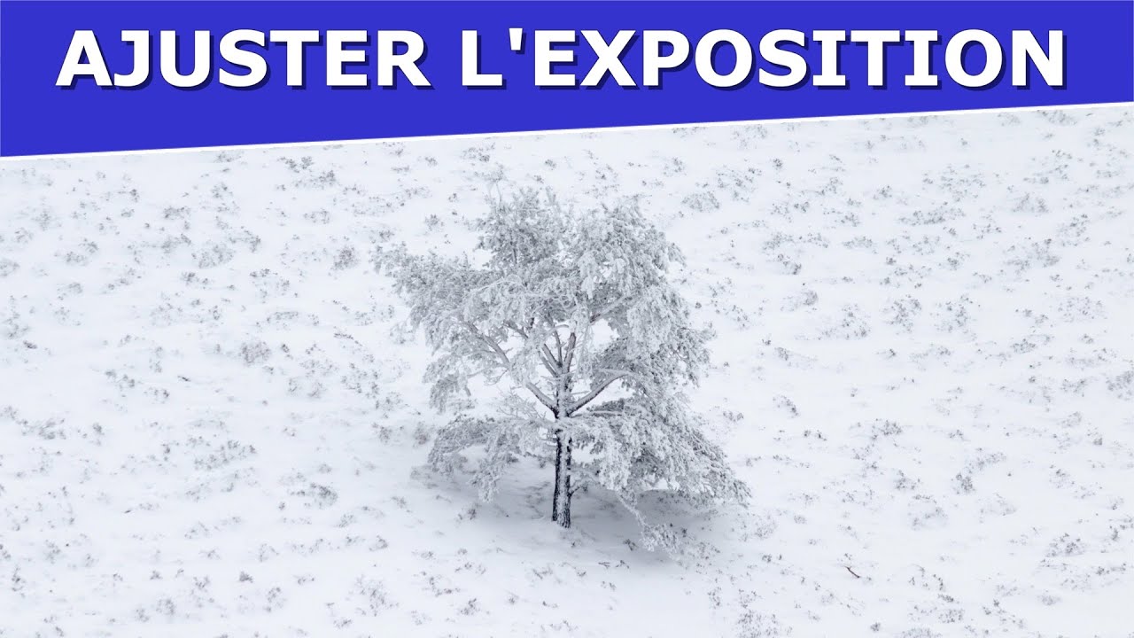Ajuster l’exposition pour un paysage de neige ou de givre – Exercice #25 (niveau avancé)