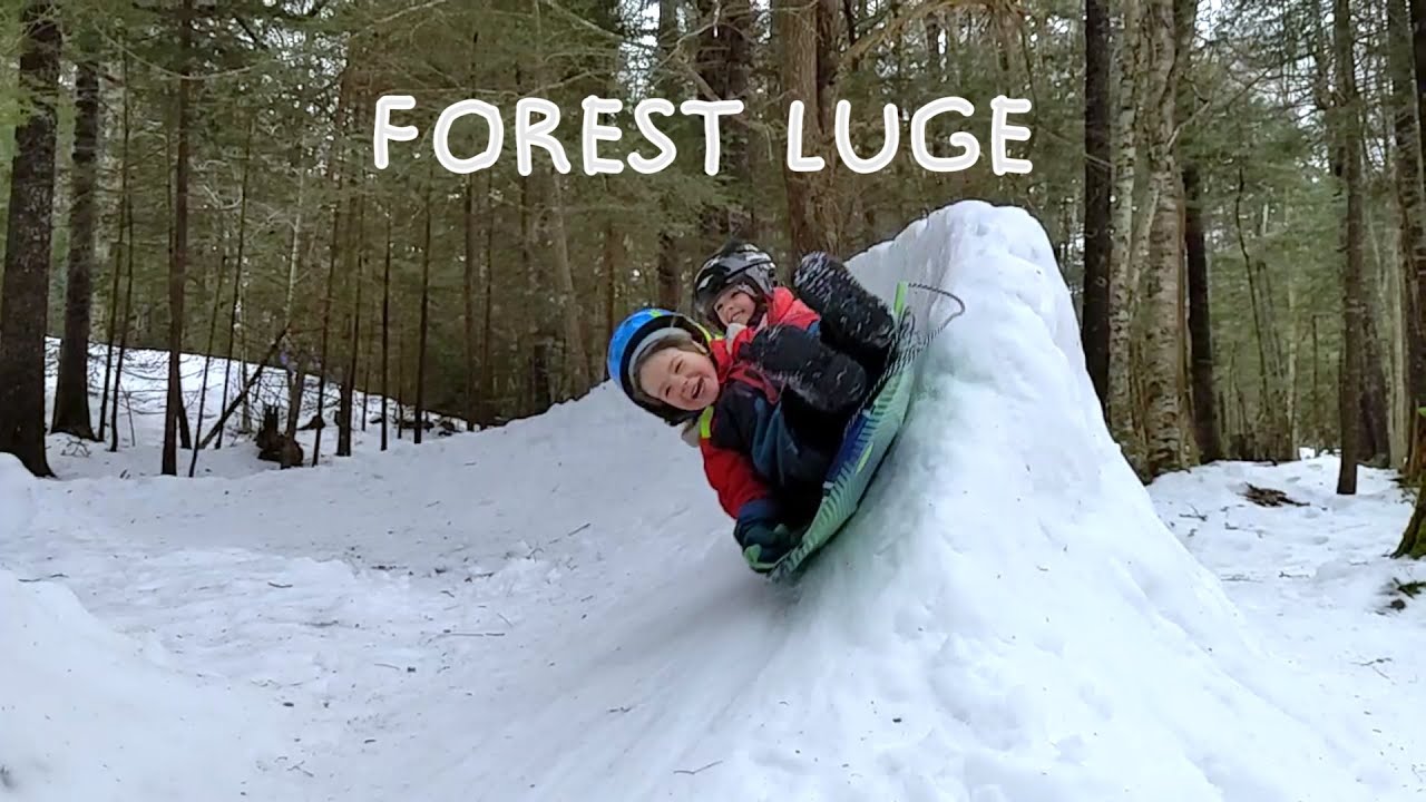 350ft Backyard Forest Luge