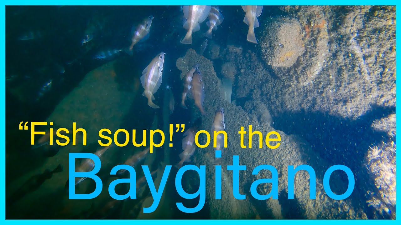 Diving the SS Baygitano 2025: Why has the wreck earned the name 