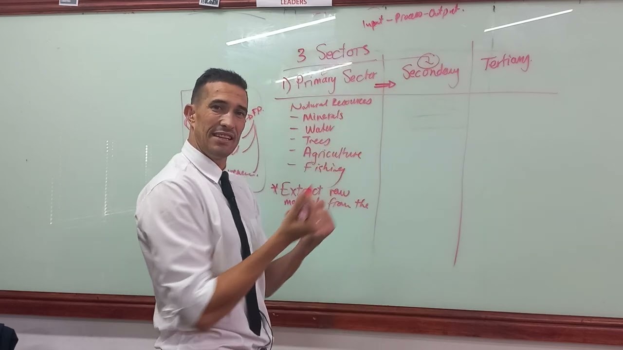 Business Sectors gr9 Ems video 1