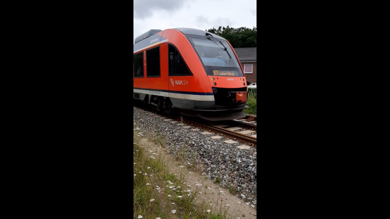 🚆 Triebwagen Lint DB 648 831-5 'Ascheberg' f&auml;hrt am B&uuml; Gettorf/Liebesallee als RB 73 Ri Eckernf&ouml;rde
