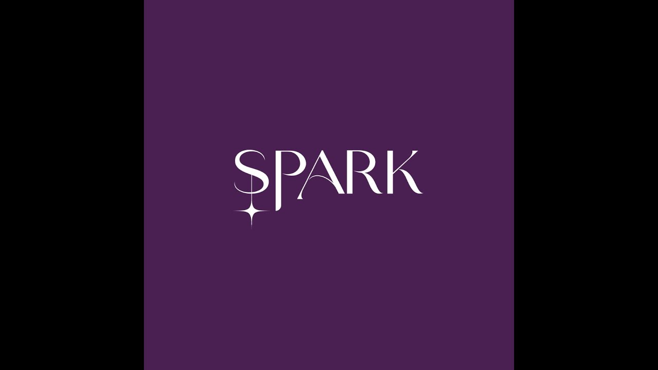 Spark Updated Product Demo video Version 2
