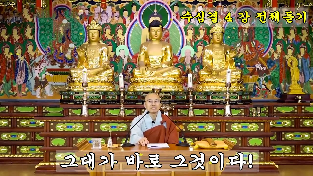 수심결 4강 전체 - 그대가 바로 그것이다, 생각이 문제를 만든다, 허공꽃의 비유, 깨달음과 신통력