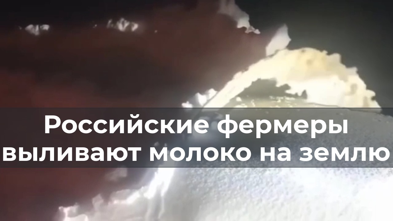 Российские фермеры выливают молоко на землю