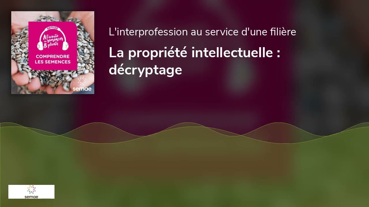 La propriété intellectuelle : décryptage