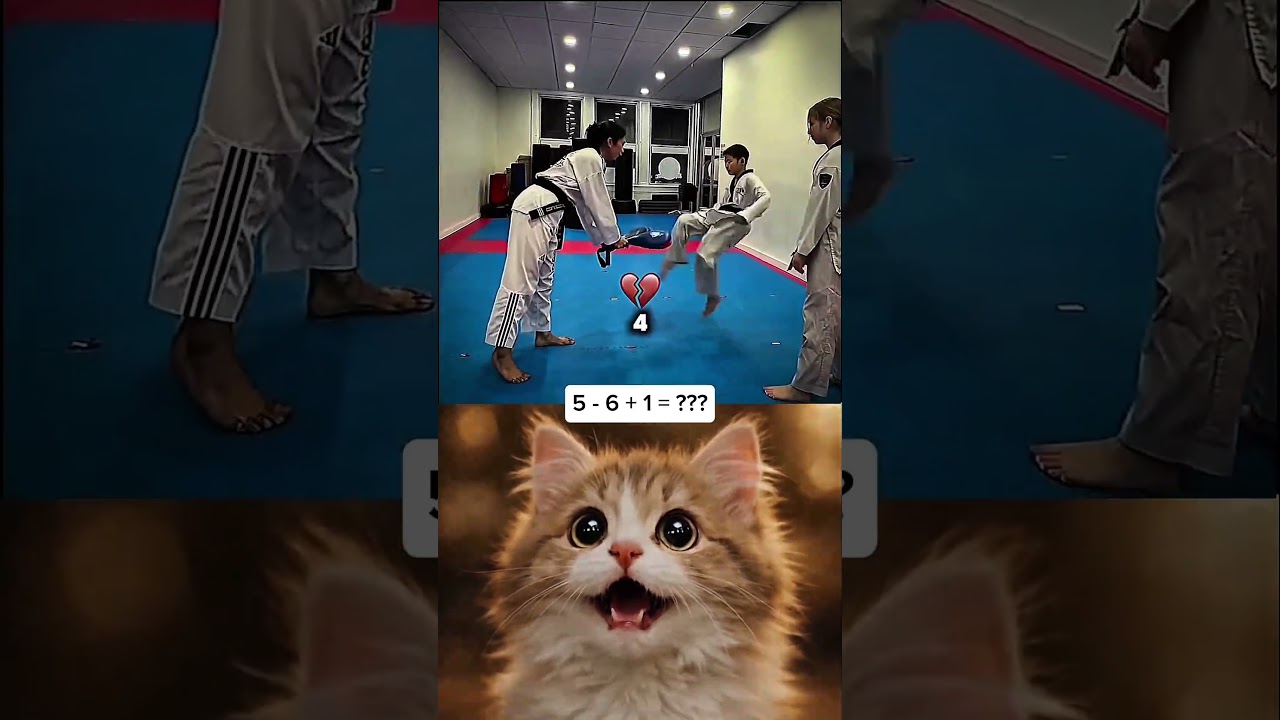 Working with teens fells like 😅 #funny #memes #cat #trending