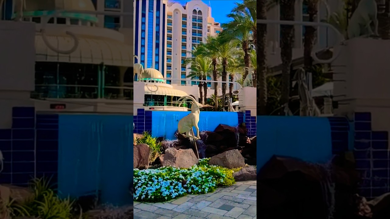 Eilat, Israel | Relaxing Red Sea Views #shorts #eilat #redsea #israel