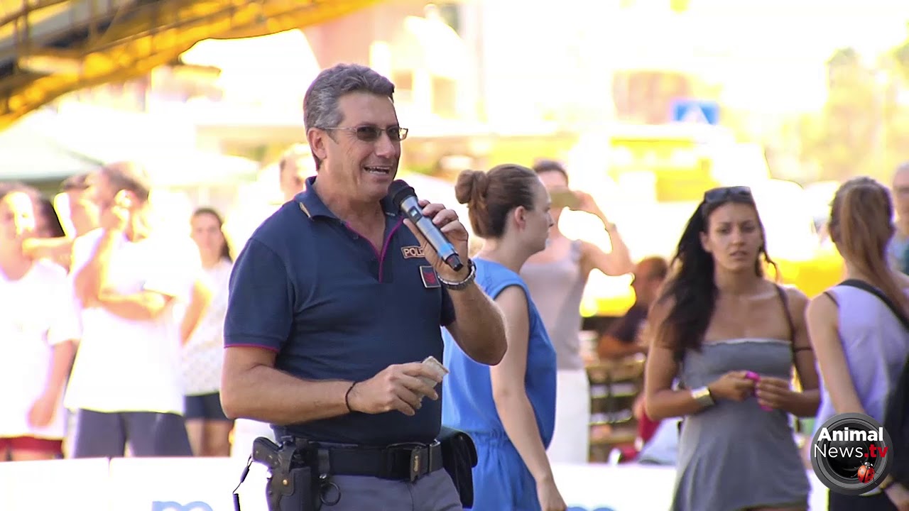 Marche Winner 2018 -  Polizia di Stato -  Dimostrazione unit&agrave; cinofila